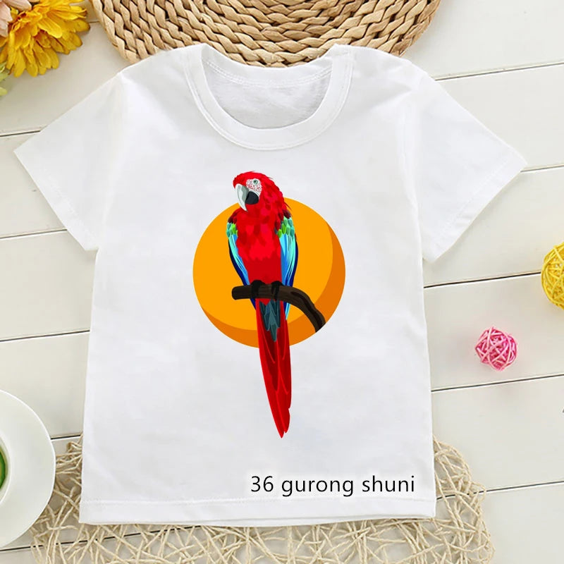 45505527677145|45505527709913|45505527742681