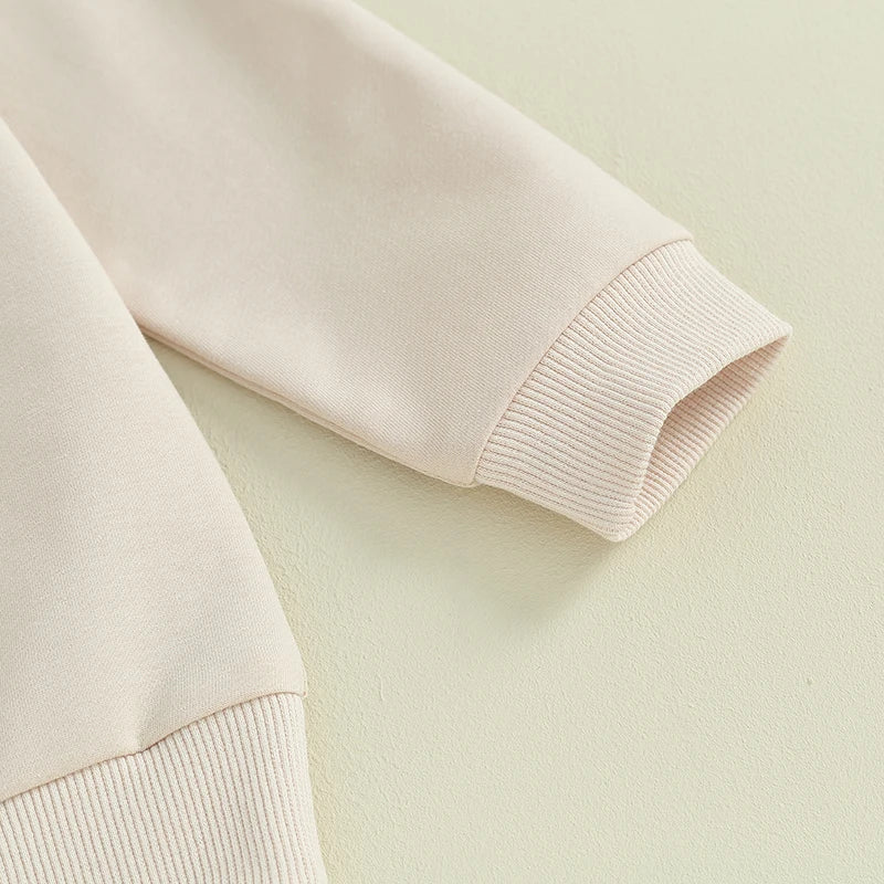 Lioraitiin Toddler Baby Boys Fall Sweatshirt Fuzzy Letter Embroidery Long Sleeve Round Neck Pullover Loose Top