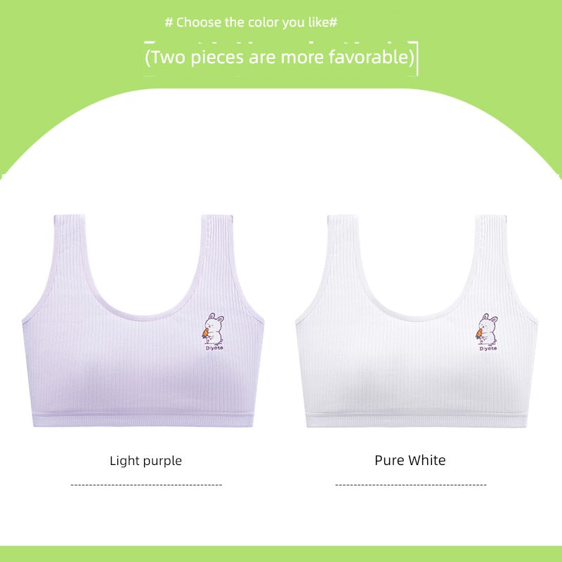 45547595038937|45547595071705|45547595235545