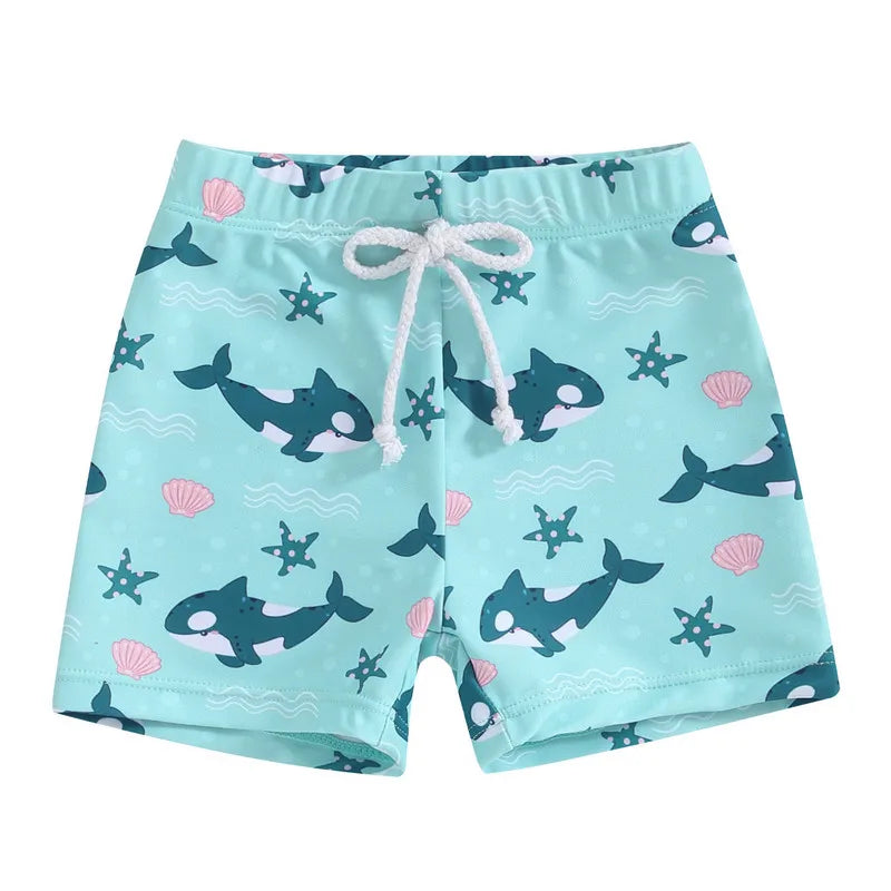 45506624749785|45506624782553