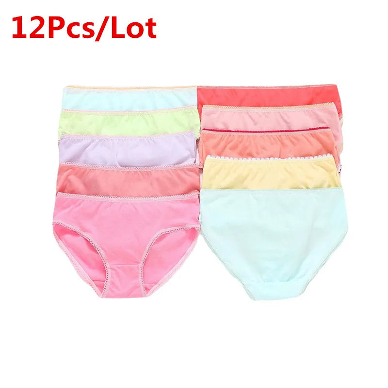 45553476993241|45553477124313|45553477189849|45553477288153|45553477320921