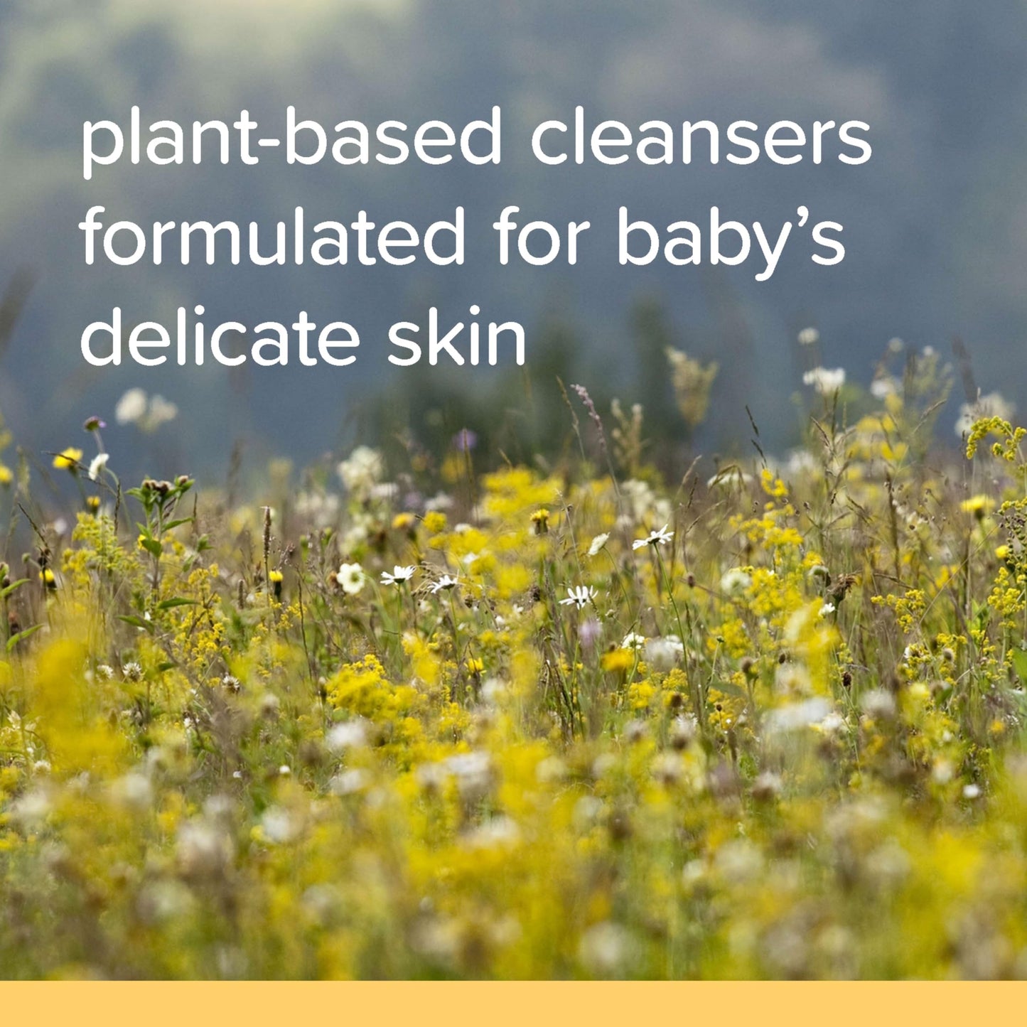 Burt's Bees Baby Shampoo and Wash Set, Fragrance Free, 2-in-1 Natural Origin Plant Based Formula for Sensitive Skin, Hypoallergenic, Tear-Free, Paraben Free, Pediatrician Tested, 21 oz Bottle