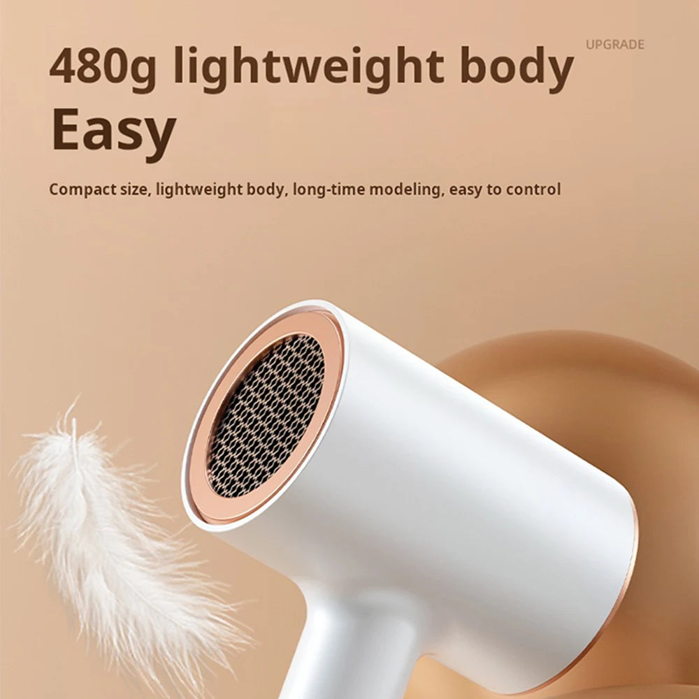 Professional Ionic Hair Dryer & Straightener Set with 2000W Power 3 Speed Settings Concentrator Nozzle for Home Use