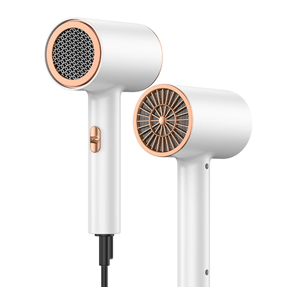 Professional Ionic Hair Dryer & Straightener Set with 2000W Power 3 Speed Settings Concentrator Nozzle for Home Use