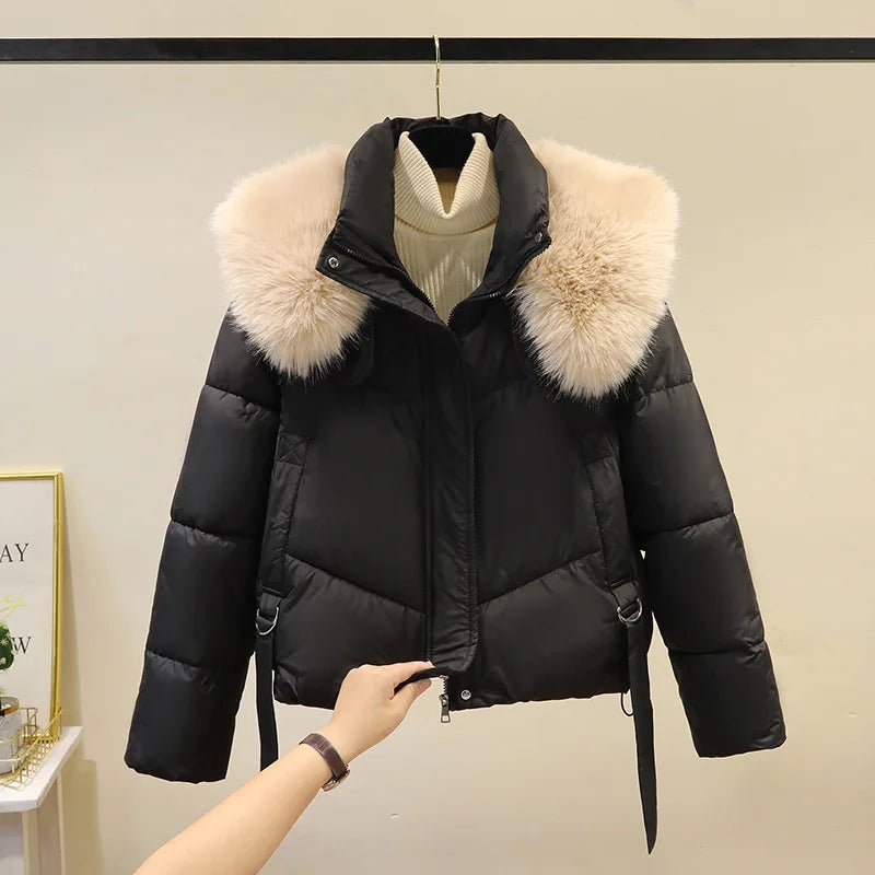 Winter Cotton Jacket for Women 2025 New Style Big Fur Collar Short Cotton Jacket