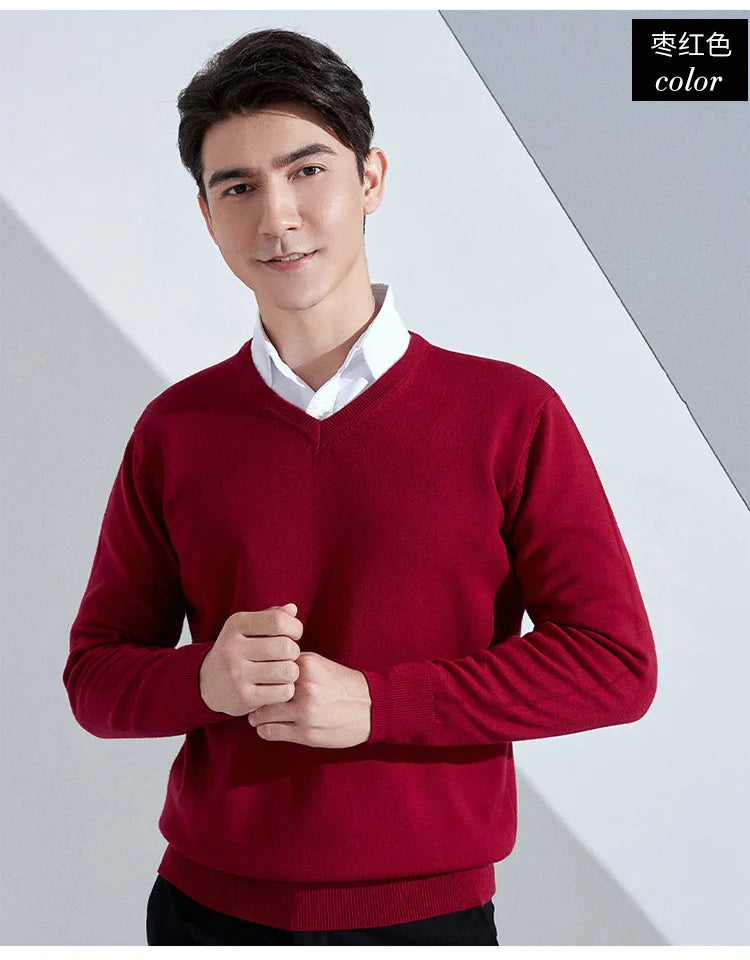 Cashmere Cotton Blend Classic V-neck Knitted Sweater Men Pullover 2024 Autumn Winter Soft Warm Business Casual Jumper pull homme
