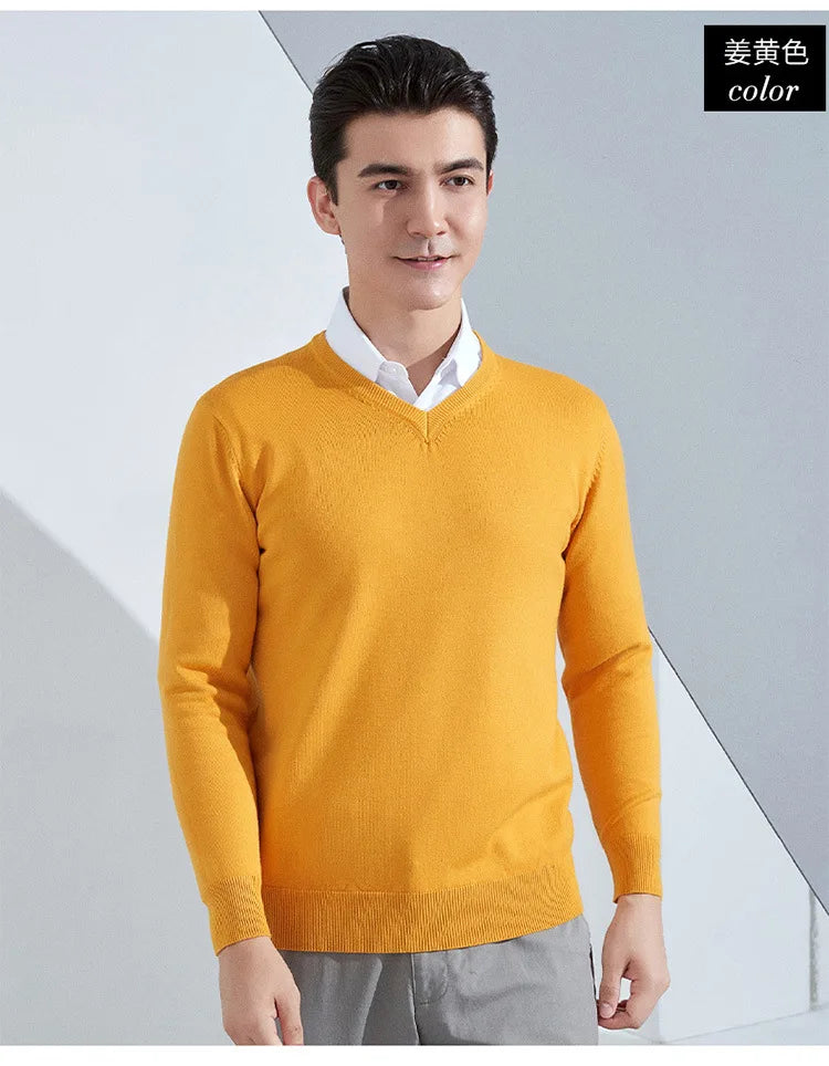 Cashmere Cotton Blend Classic V-neck Knitted Sweater Men Pullover 2024 Autumn Winter Soft Warm Business Casual Jumper pull homme