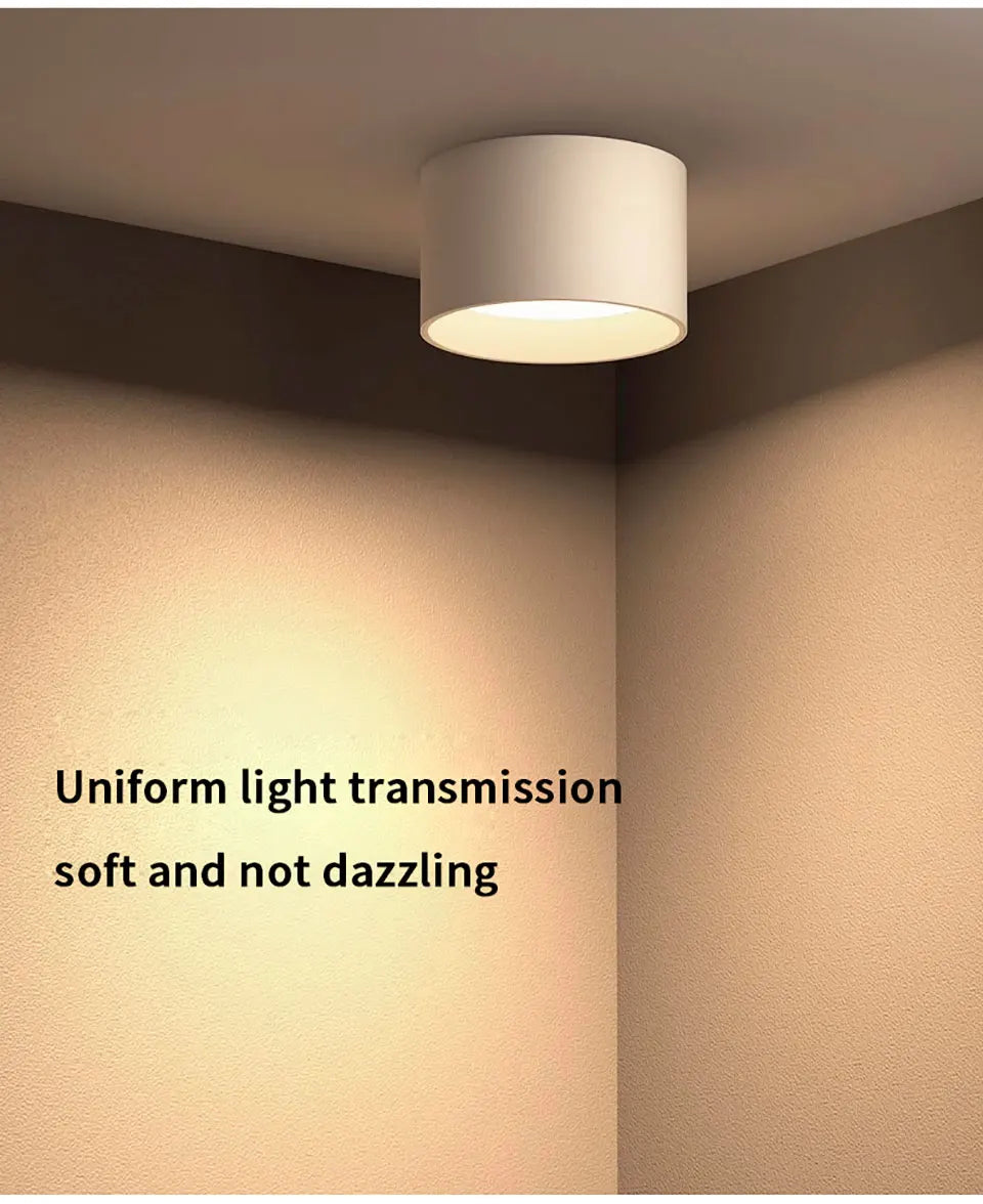 High Quality Small Ceiling Lamp Surface Mounted LED Downlight For Living Room Bedroom Kitchen Corridor Down Lights 220V 12W 15W