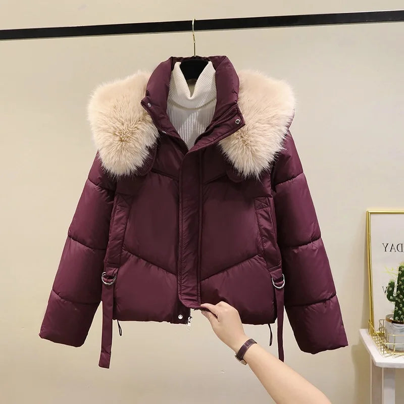 Winter Cotton Jacket for Women 2025 New Style Big Fur Collar Short Cotton Jacket