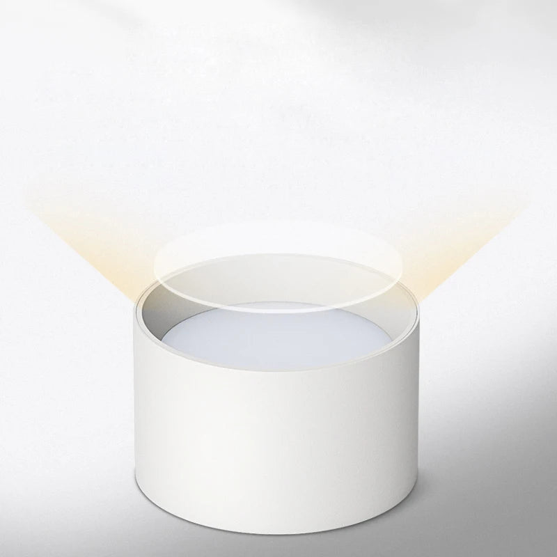 High Quality Small Ceiling Lamp Surface Mounted LED Downlight For Living Room Bedroom Kitchen Corridor Down Lights 220V 12W 15W