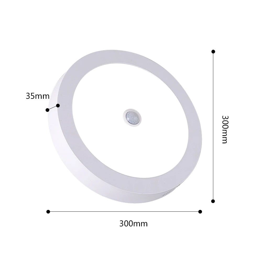 SANDIY Ceiling Lights Motion Sensor LED Panel Lights Smart Ceiling Lamp 6W 12W 24W for Foyer Kitchen Hallway Luminarie AC85-265V