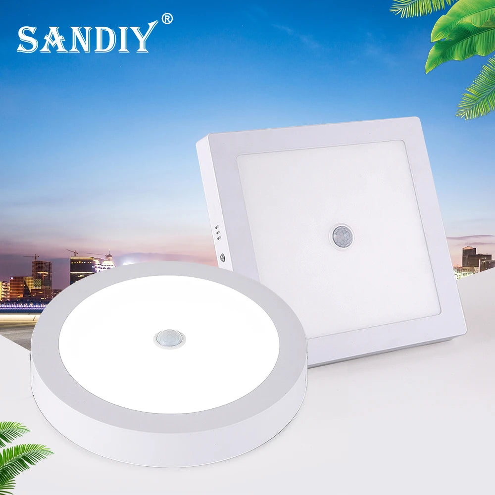 SANDIY Ceiling Lights Motion Sensor LED Panel Lights Smart Ceiling Lamp 6W 12W 24W for Foyer Kitchen Hallway Luminarie AC85-265V