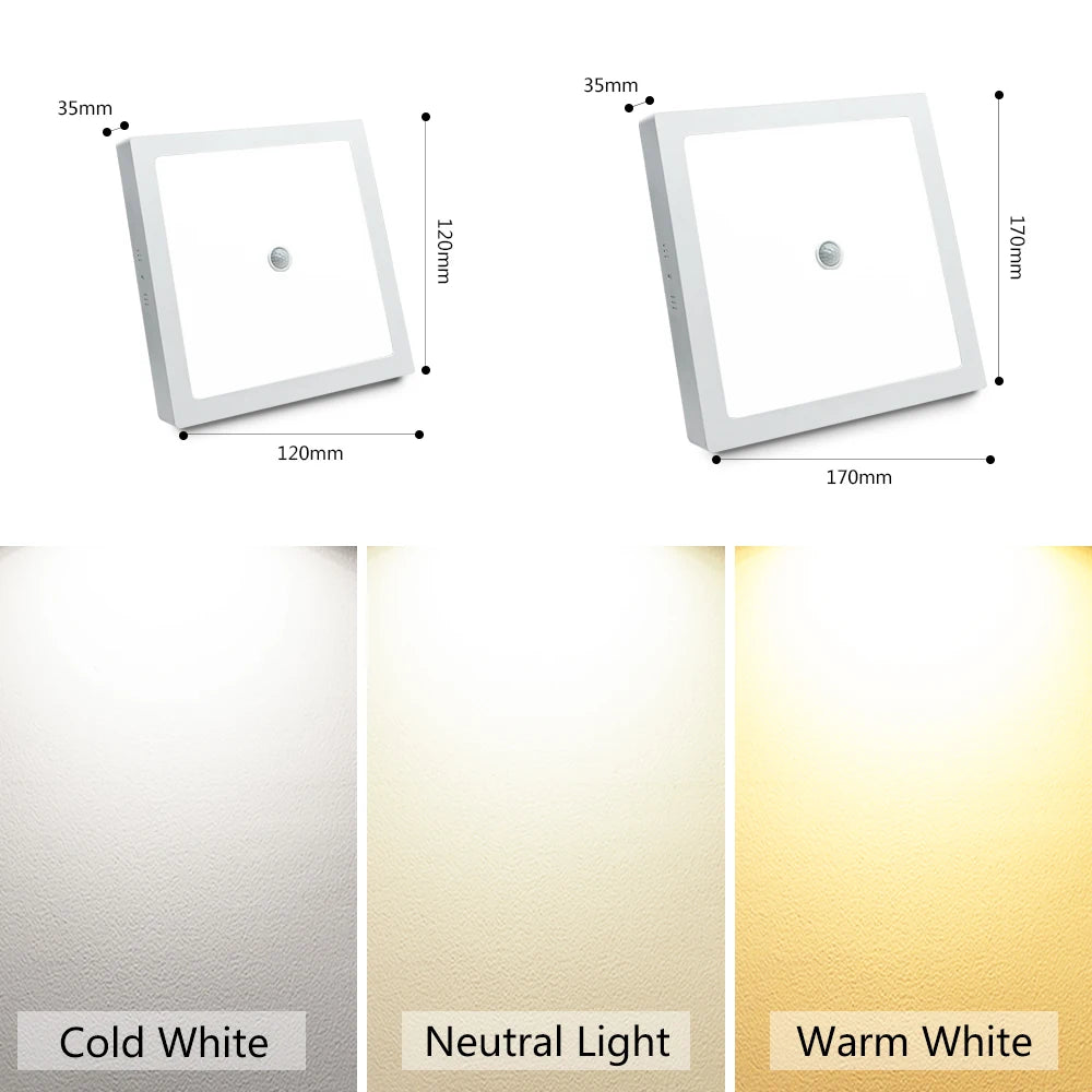 SANDIY Ceiling Lights Motion Sensor LED Panel Lights Smart Ceiling Lamp 6W 12W 24W for Foyer Kitchen Hallway Luminarie AC85-265V